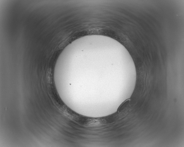 X0000053110083200508081236