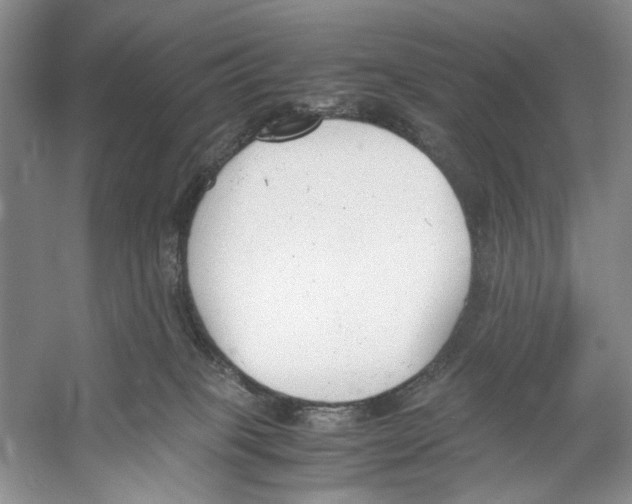 X0000053110085200508081236