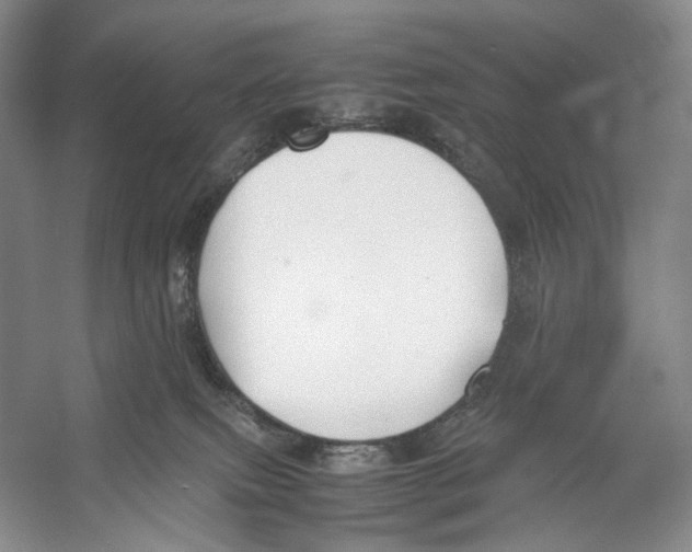 X0000053110087200508081237