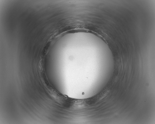 X0000053110088200508081237