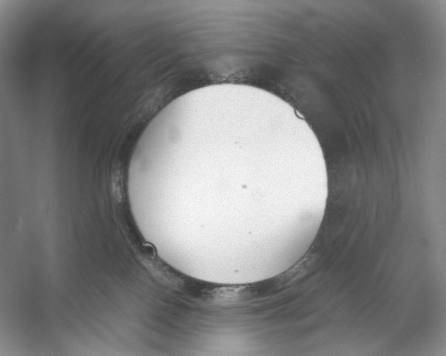 X0000053110090200508081237