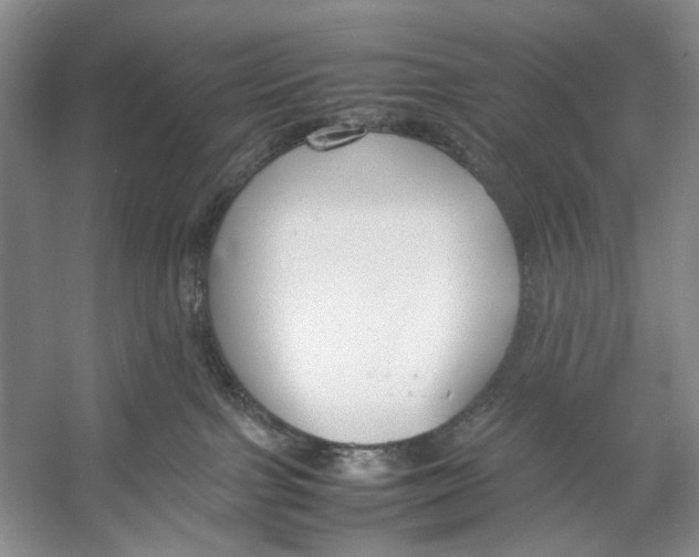 X0000053110091200508081237