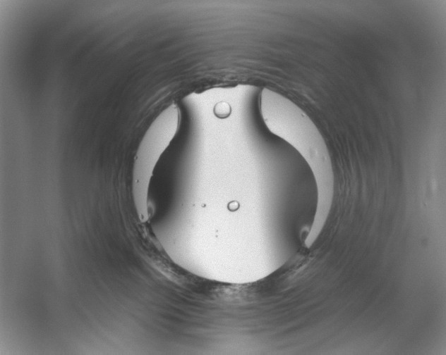 X0000053110092200508081237