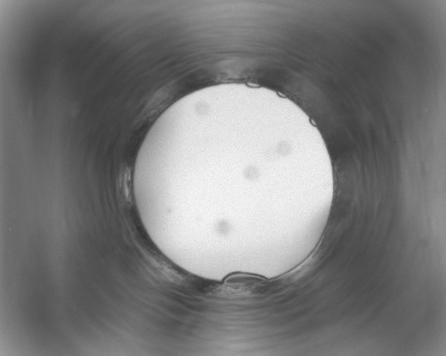 X0000053110094200508081237