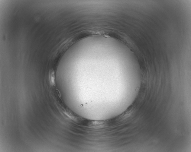 X0000053110095200508081237