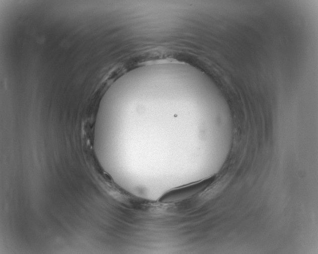 X0000053110096200508081237