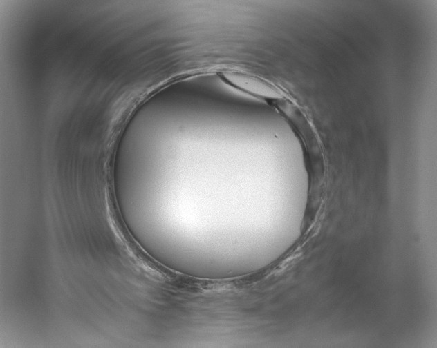 X0000053110097200508081236