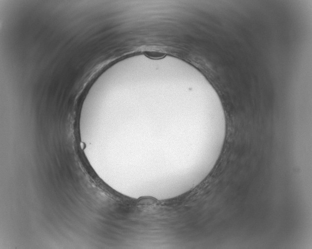 X0000053110098200508081236