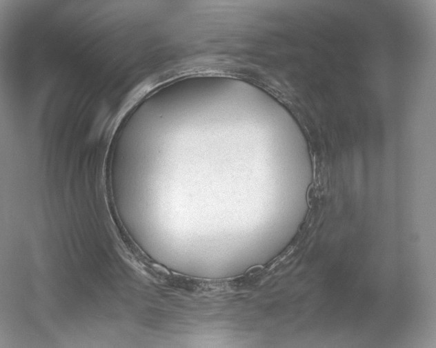 X0000053110099200508081236