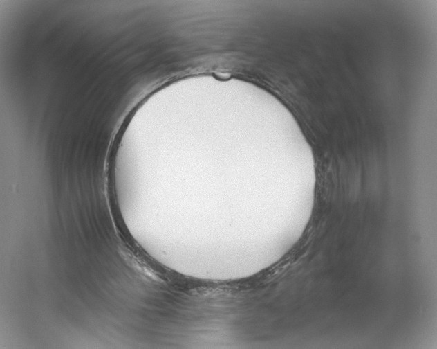 X0000053110100200508081236