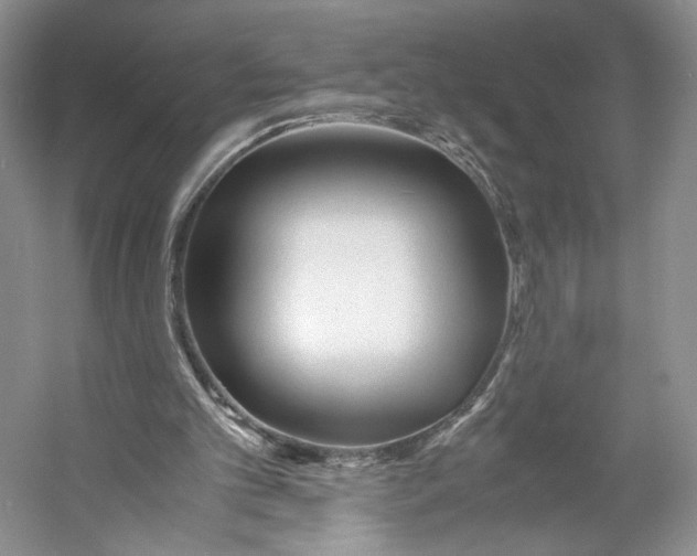 X0000053110101200508081236