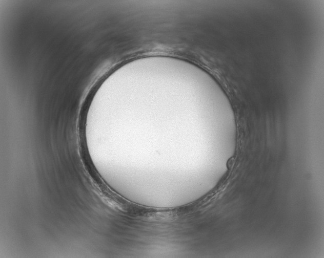 X0000053110102200508081236