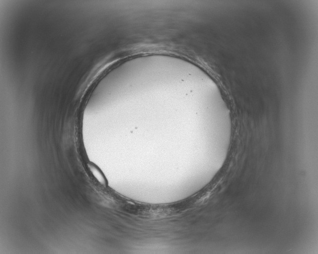 X0000053110103200508081236