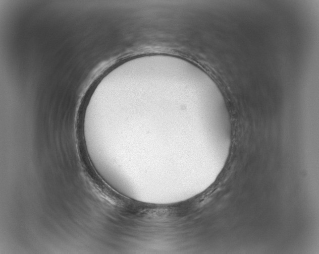 X0000053110104200508081236