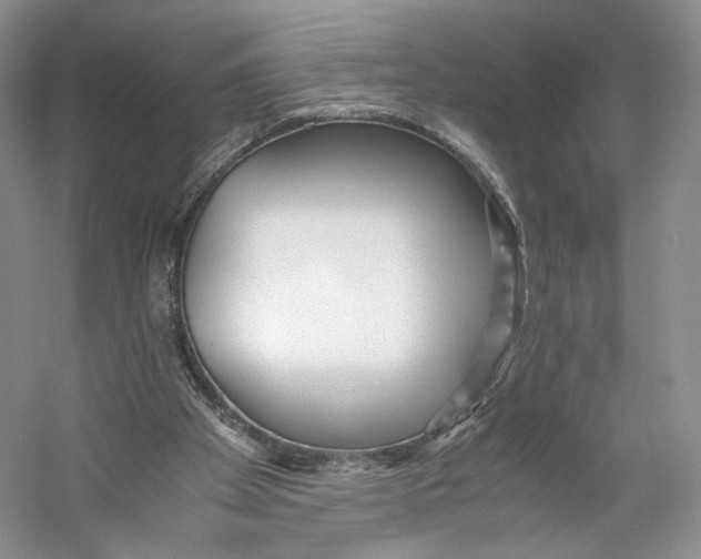 X0000053110105200508081236