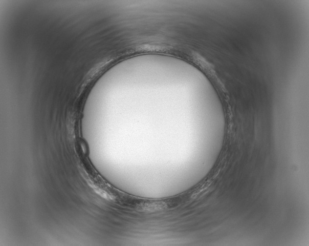 X0000053110106200508081236