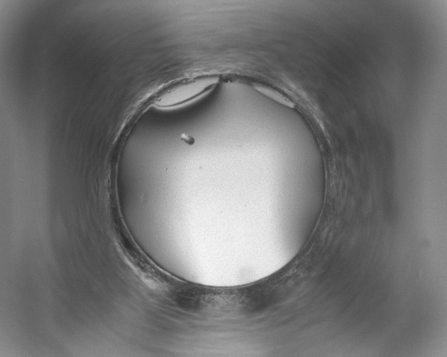 X0000053110107200508081236