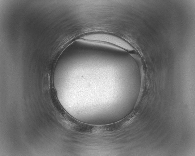 X0000053110109200508081236