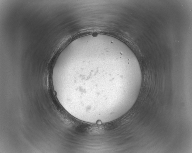 X0000053110110200508081236