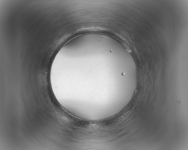 X0000053110111200508081236