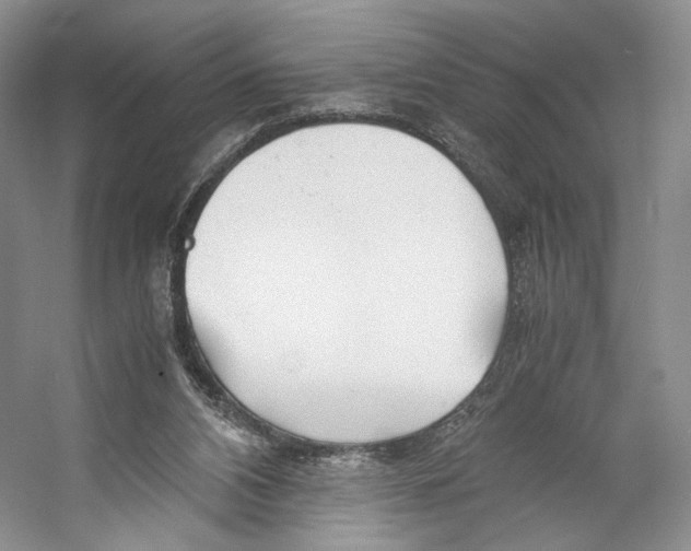 X0000053110112200508081236