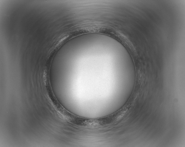 X0000053110113200508081236