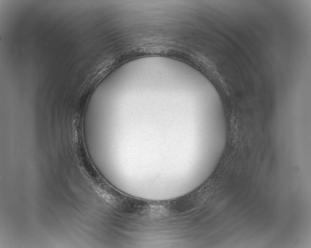 X0000053110114200508081236