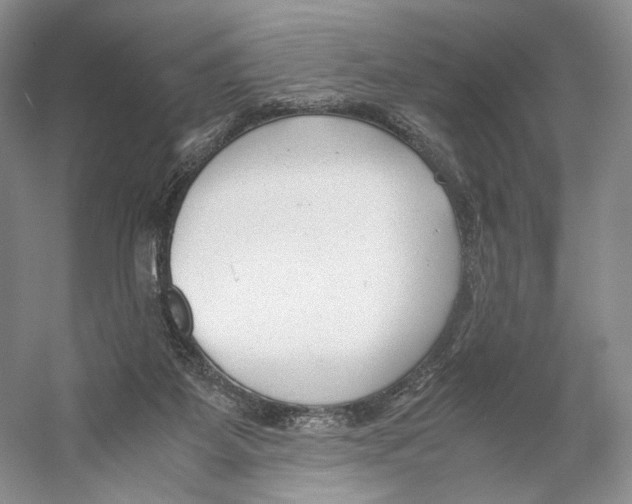 X0000053110115200508081236