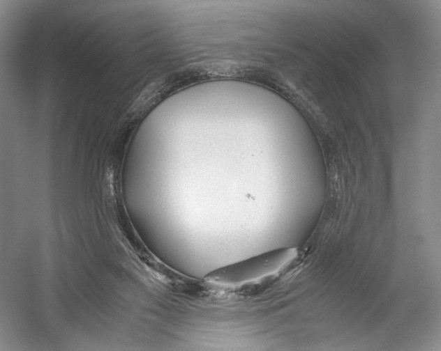 X0000053110117200508081236