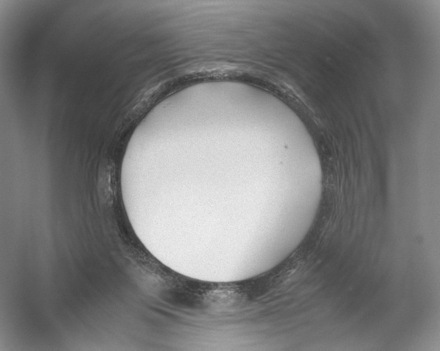 X0000053110119200508081235