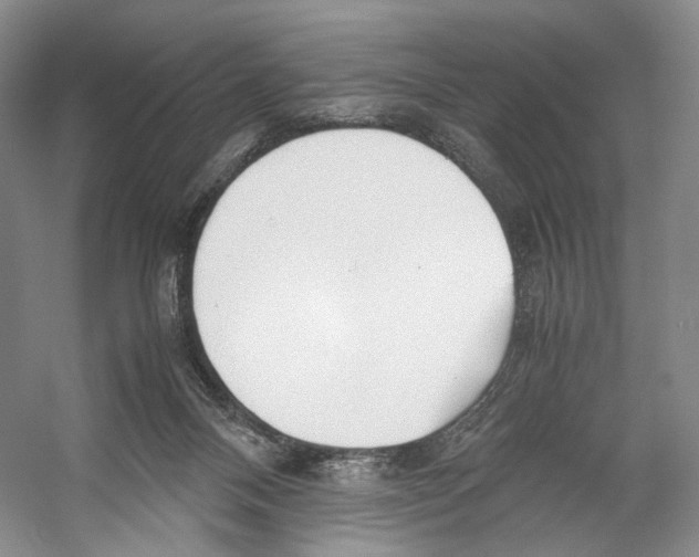 X0000053110120200508081235