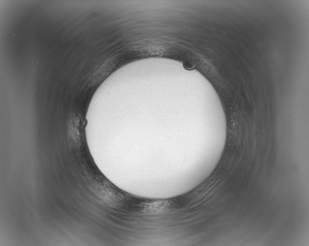 X0000053110122200508081235