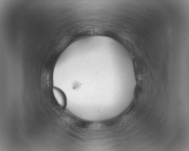 X0000053110123200508081235