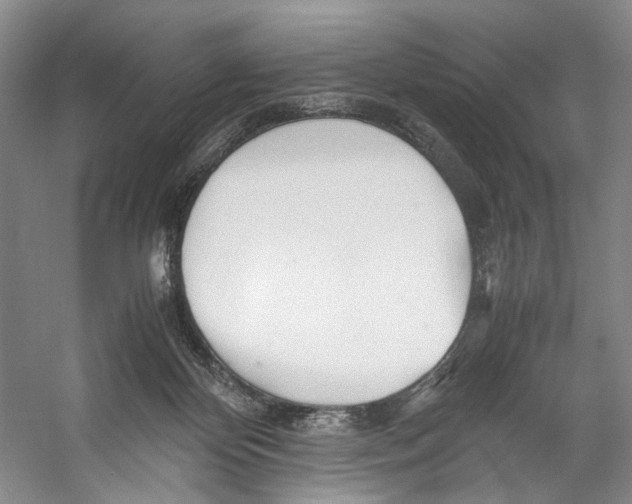 X0000053110124200508081235