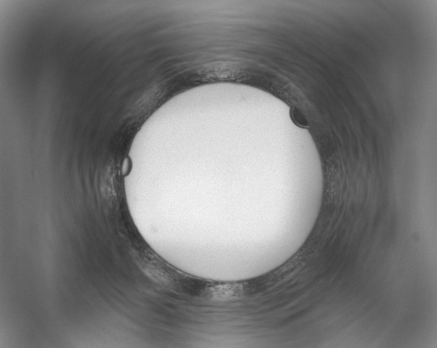 X0000053110126200508081235