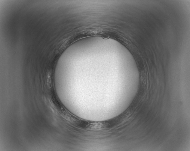 X0000053110127200508081235