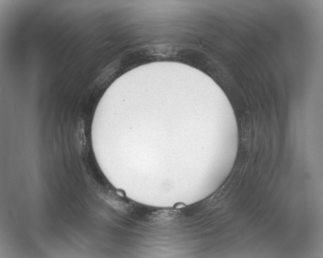 X0000053110128200508081235