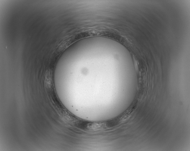 X0000053110129200508081235