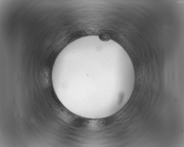 X0000053110130200508081235