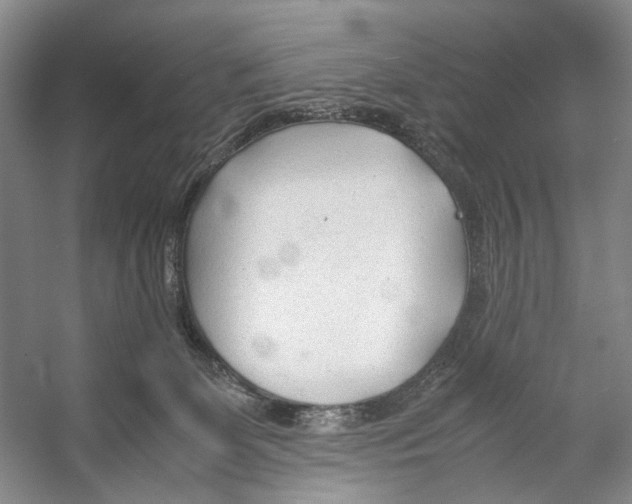 X0000053110131200508081235