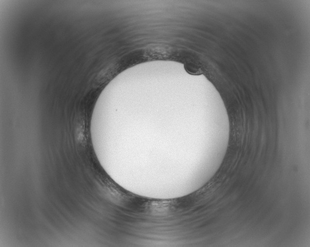 X0000053110134200508081235