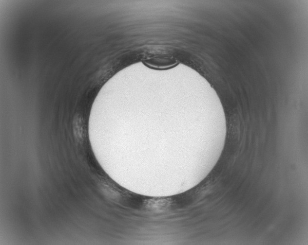 X0000053110135200508081235