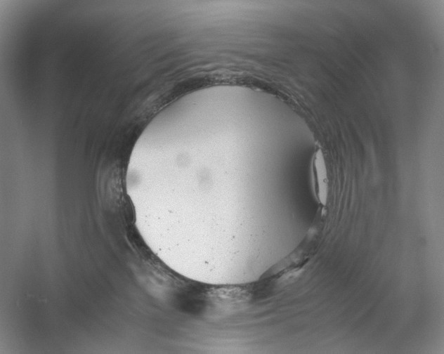 X0000053110137200508081235