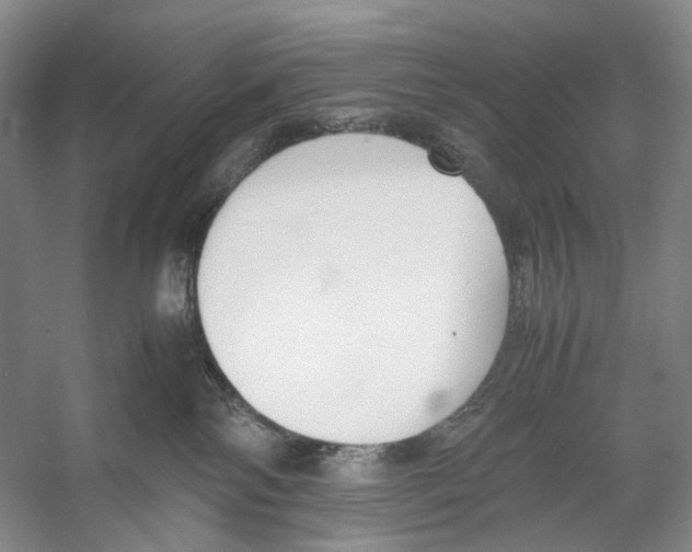 X0000053110138200508081235