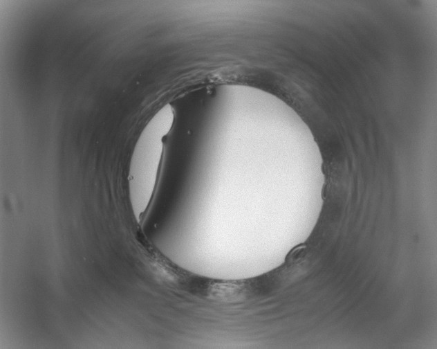 X0000053110139200508081235