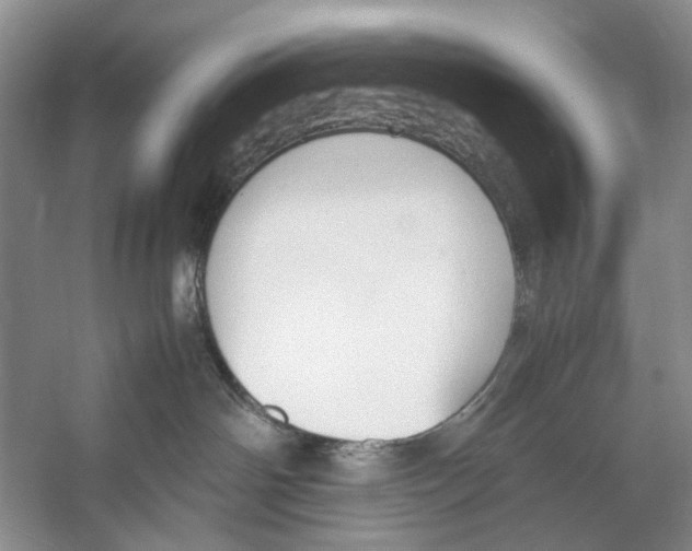 X0000053110142200508081235