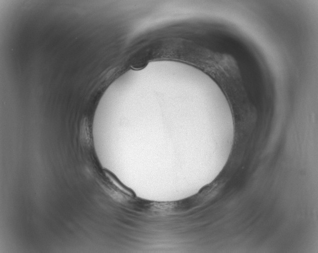 X0000053110143200508081235