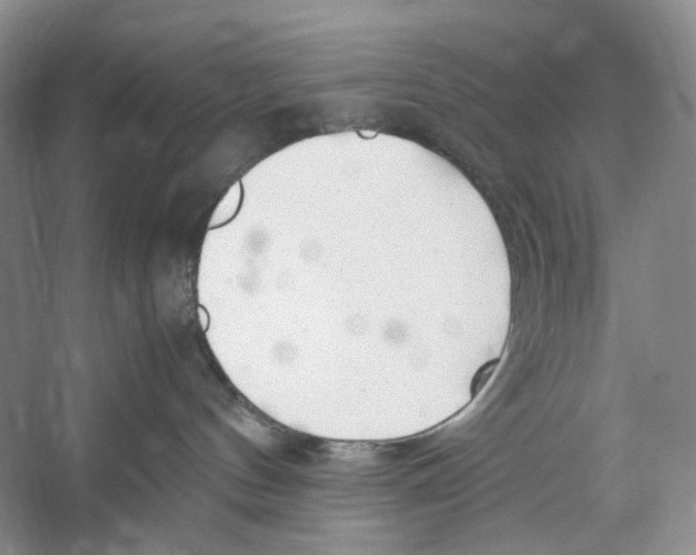 X0000053110144200508081235