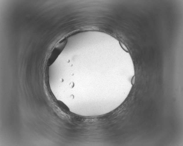 X0000053110145200508081234