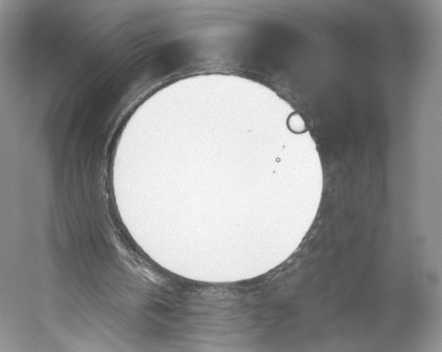 X0000053110146200508081234